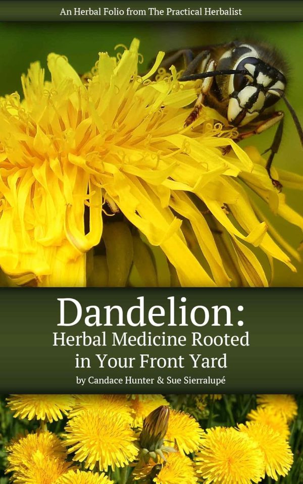Dandelion Folio