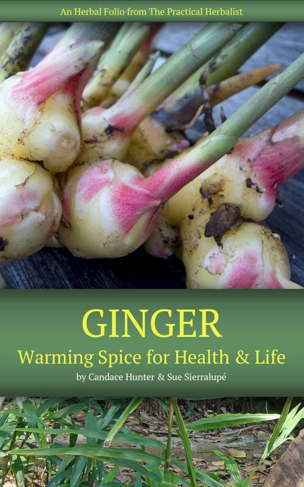 Ginger Folio Cover