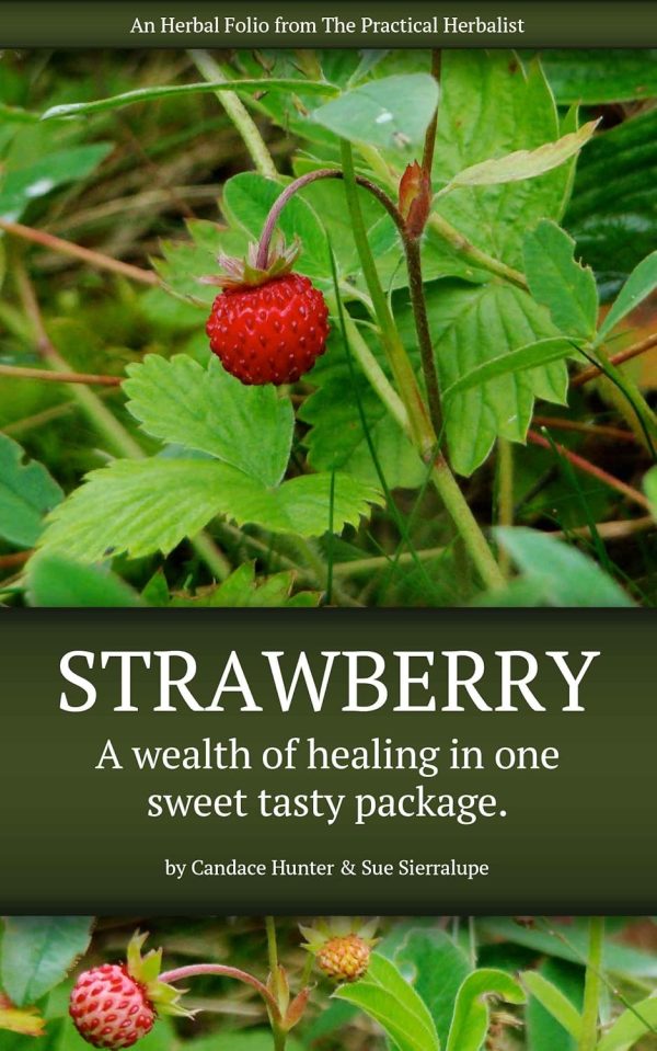 Strawberry: A Wealth of Healing in One Sweet Tasty Package