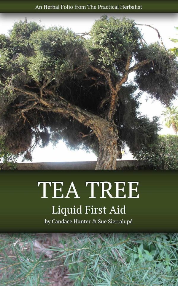 Tea Tree: Liquid First Aid